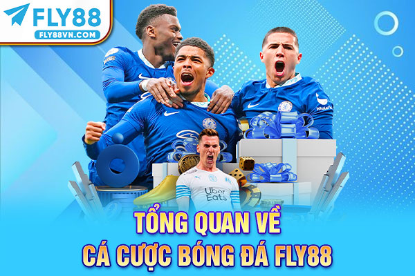 Tổng quan về cá cược bóng đá Fly88